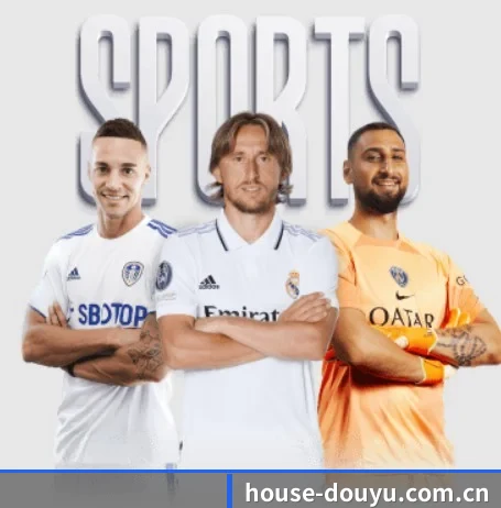 从比分速递到赛后复盘的完整链路 - 多运动项目内容板块